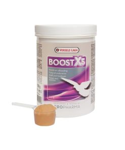 versele-laga Boost X5 Pigeon supporting the muscles